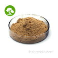 Fourniture d&#39;usine Ginkgo Biloba Leaf Extract Powder